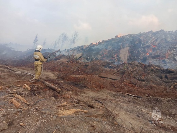Ликвидация возгорания отходов лесопиления в поселке Бисерть(2025)|Фото: ГУ МЧС по Свердловской области