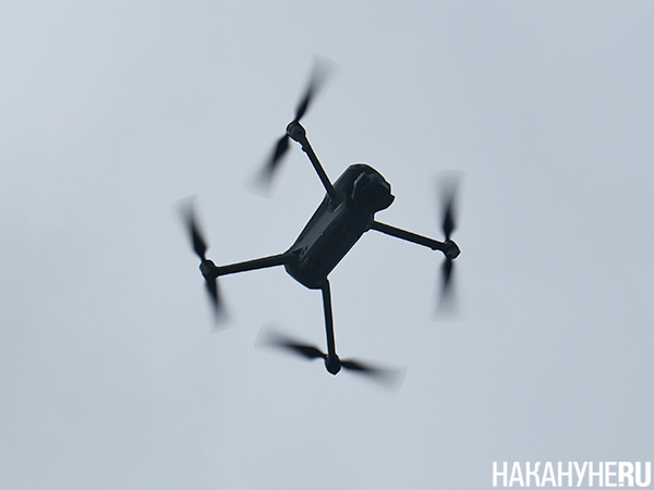 Запуск дрона во время поисково-спасательных работ "РМК Поиск" на скалах "Чёртово городище" близ Екатеринбурга(2025)|Фото: Накануне.RU