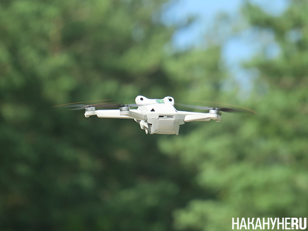 Запуск дрона во время поисково-спасательных работ "РМК Поиск" на скалах "Чёртово городище" близ Екатеринбурга(2025)|Фото: Накануне.RU