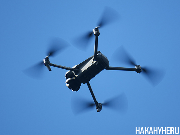 Запуск дрона во время поисково-спасательных работ "РМК Поиск" на скалах "Чёртово городище" близ Екатеринбурга(2025)|Фото: Накануне.RU