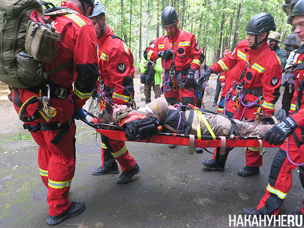 Поисково-спасательные работы "РМК Поиск" на скалах "Чёртово городище" близ Екатеринбурга(2025)|Фото: Накануне.RU