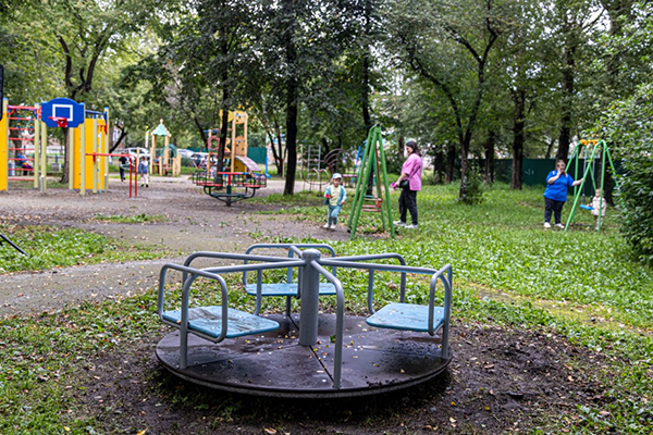     . , 46    ,     (2025)|:   / -  