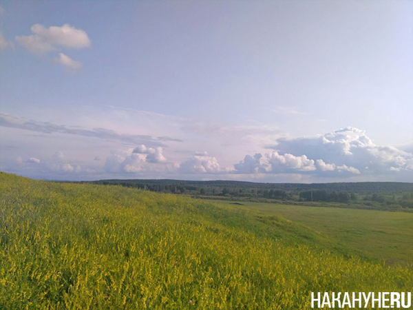      (2019)|: .RU