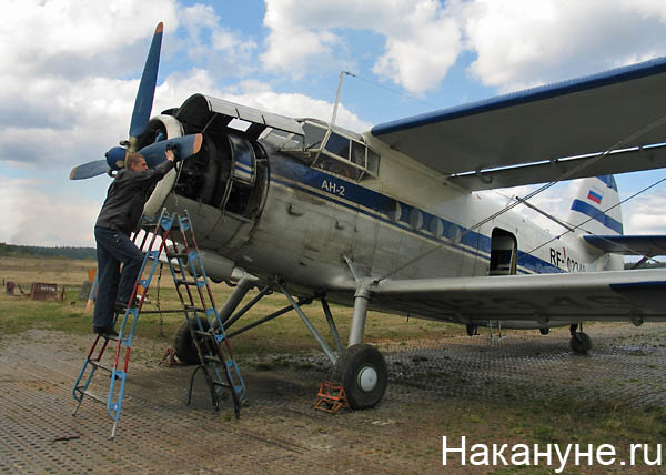 самолет ан-2|Фото: Накануне.ru
