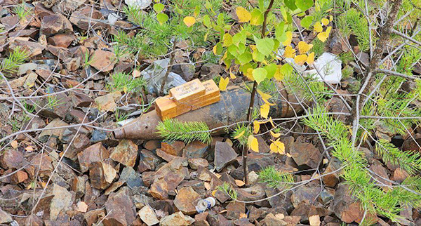 Артиллерийский снаряд, обнаруженный в лесном массиве вдоль Серовского тракта(2025)|Фото: пресс-служба Управления Росгвардии по Свердловской области