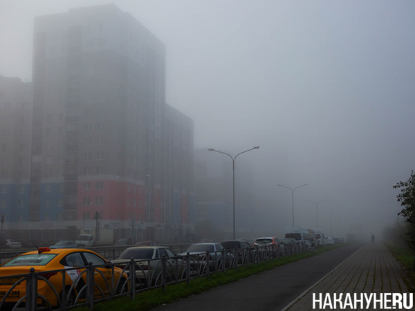    (2025)|: .RU