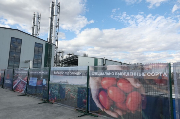 (2025)|: t.me/babushkin30