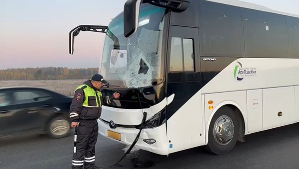        0   " .  "   . (2025)|:        