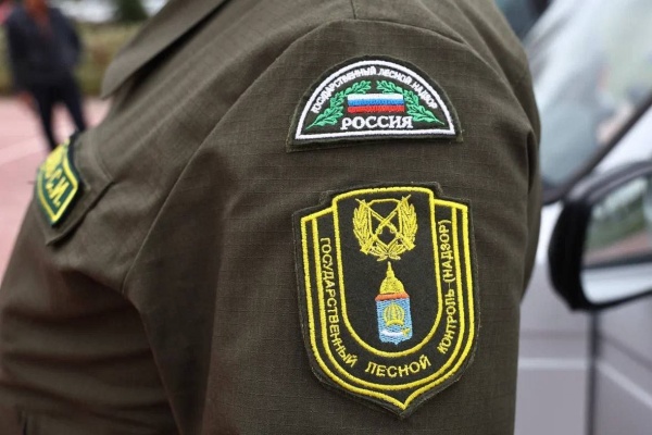 (2025)|Фото: t.me/babushkin30