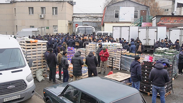 Рейд по нелегалам на овощебазе №4 в Екатеринбурге(2025)|Фото: В.Н. Горелых