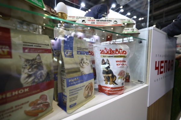 (2025)|Фото: t.me/poolN74