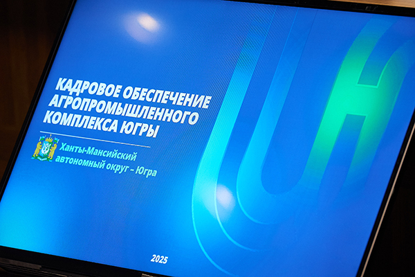 Часть презентации Югры на Совете при полпреде(2025)|Фото: пресс-служба губернатора Югры