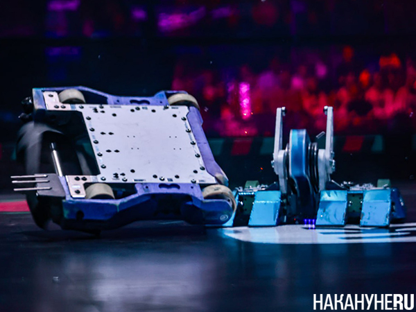 Международный чемпионат "Битва роботов" в выставочном центре "Екатеринбург-Экспо"(2025)|Фото: Накануне.RU Международный чемпионат "Битва роботов" в выставочном центре "Екатеринбург-Экспо"(2025)|Фото: Накануне.RU