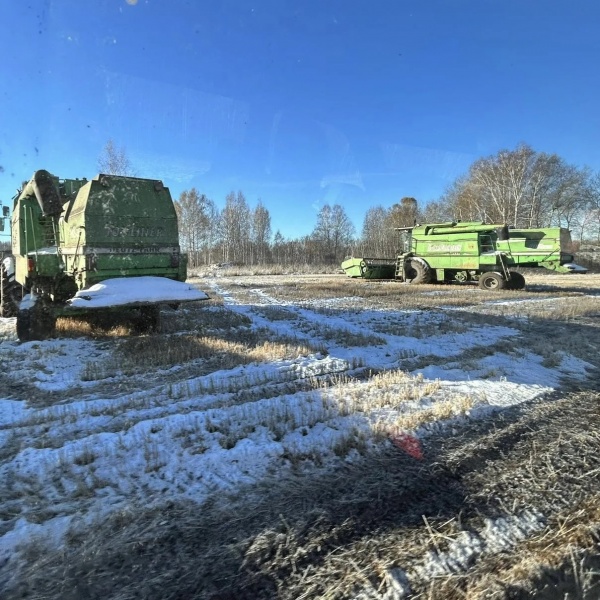 (2025)|: max.ru/mazur_70