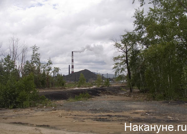 карабаш | Фото: Накануне.ru