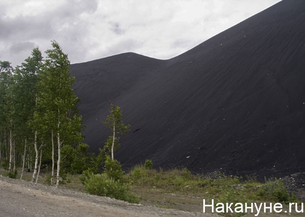карабаш | Фото: Накануне.ru