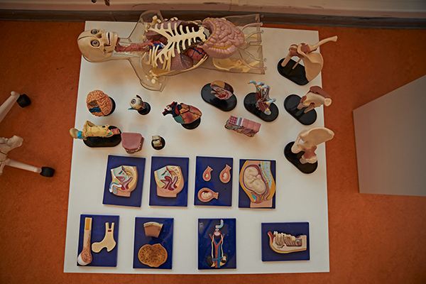 Музей медицинского прогресса в Академическом районе Екатеринбурга(2025)|Фото: Екатерина Гаврикова