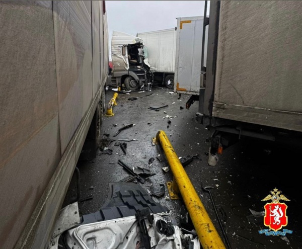    .(2025)|: t.me/gibdd_66/Telegram-   