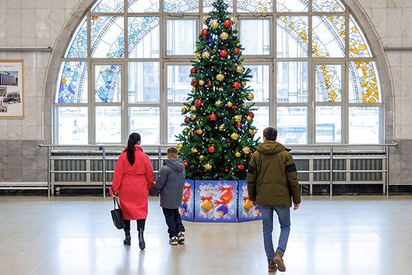 10-         (2025)|:  