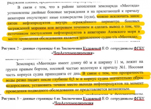 Заключение Кудряевой по "Меотиде"(2025)|Фото: фрагмент независимой экспертизы Ю.Д. Пилькевича
