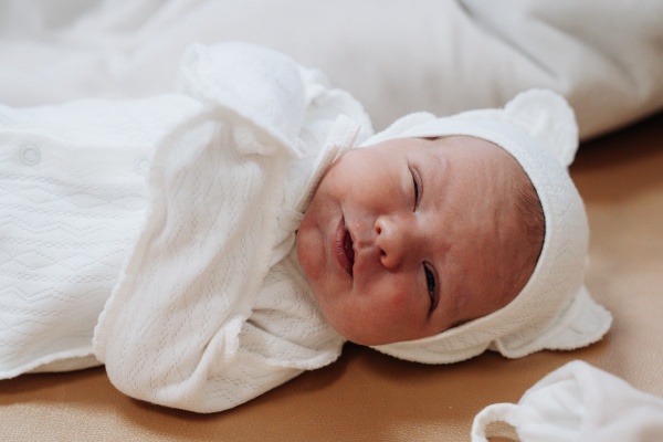 (2025)|����: ������ ����