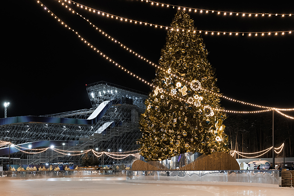 ������ ��������� "������� ���" � �������������(2025)|����: ������ ����������