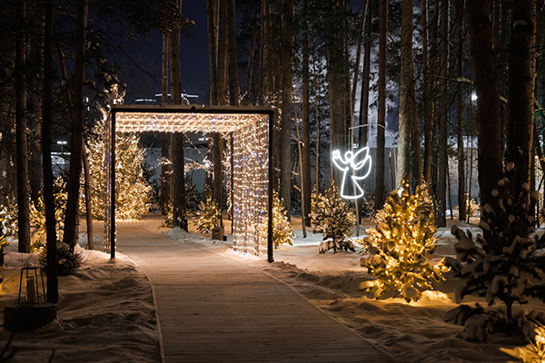 ������ ��������� "������� ���" � �������������(2025)|����: ������ ����������