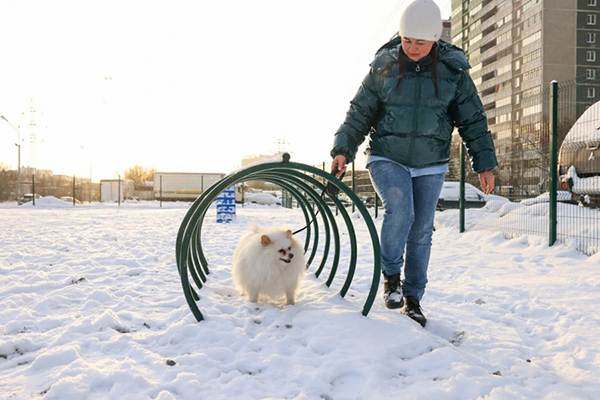 Самая большая площадка для выгула собак в Екатеринбурге(2025)|Фото: пресс-служба администрации Екатеринбурга / Алсу Султанова