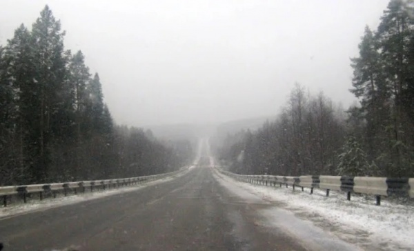 (2026)|����: adm44.ru