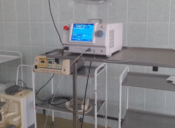 (2026)|Фото: adm44.ru