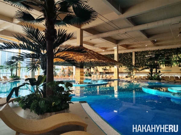 �������� ����������(2026)|����: ��������.RU