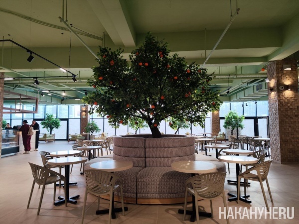 �������� ����������(2026)|����: ��������.RU