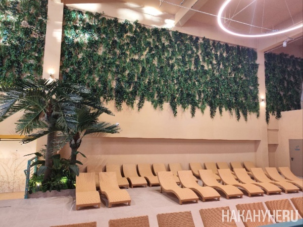 �������� ����������(2026)|����: ��������.RU