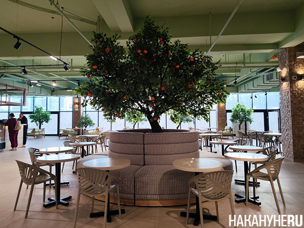 Открытие термального комплекса "Баденленд" в Екатеринбурге(2026)|Фото: Накануне.RU