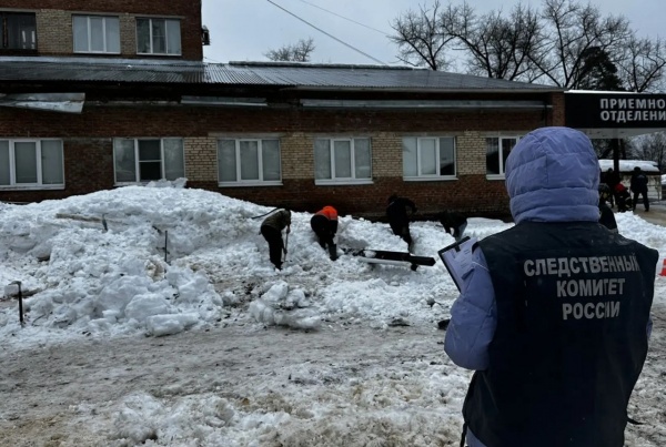 снег, обрушение(2026)|Фото: СУ СК России по Тамбовской области