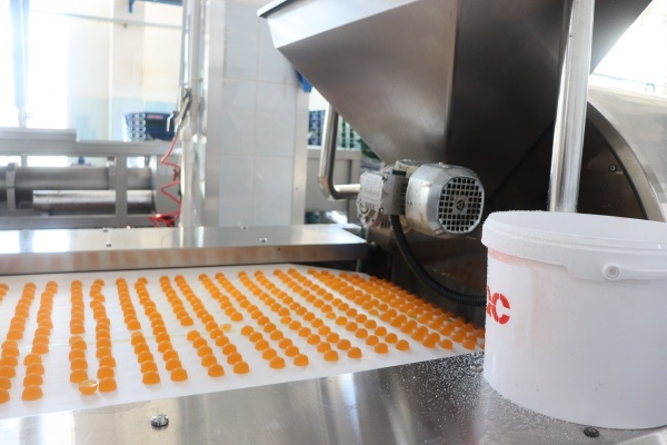 (2026)|Фото: adm44.ru