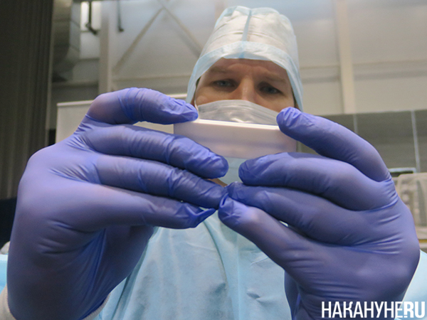 ПЦР-тест(2026)|Фото: Накануне.RU