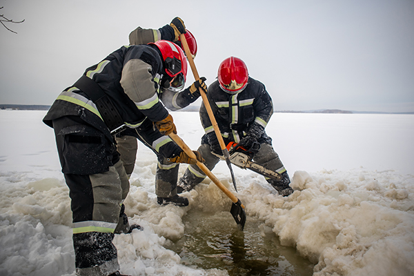 �����-������� ��������-������������� ������������� "��� �����"(2026)|����: ��������� ��������