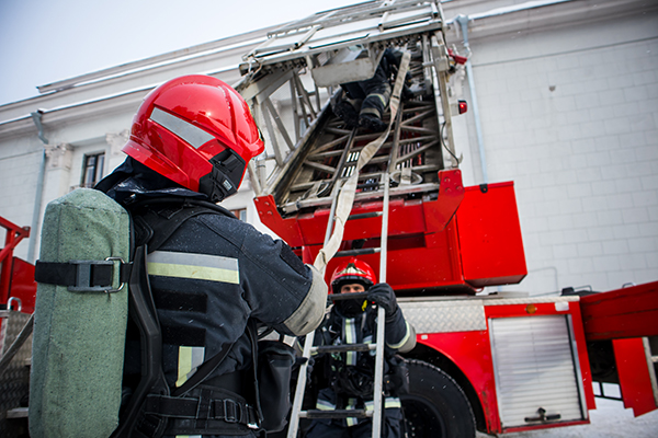 �����-������� ��������-������������� ������������� "��� �����"(2026)|����: ��������� ��������