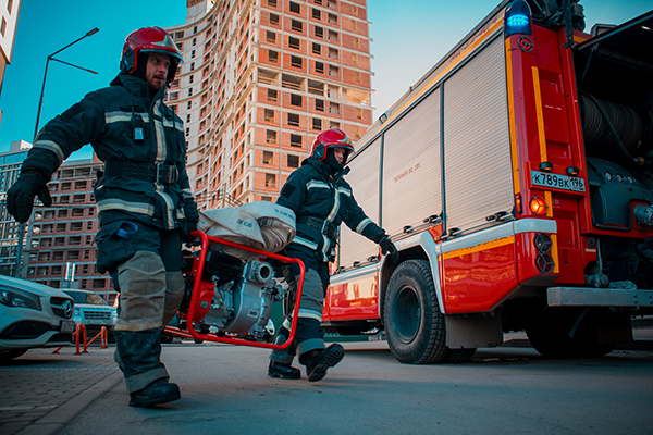 �����-������� ��������-������������� ������������� "��� �����"(2026)|����: ��������� ��������