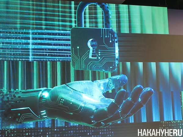 Фото: Накануне.RU