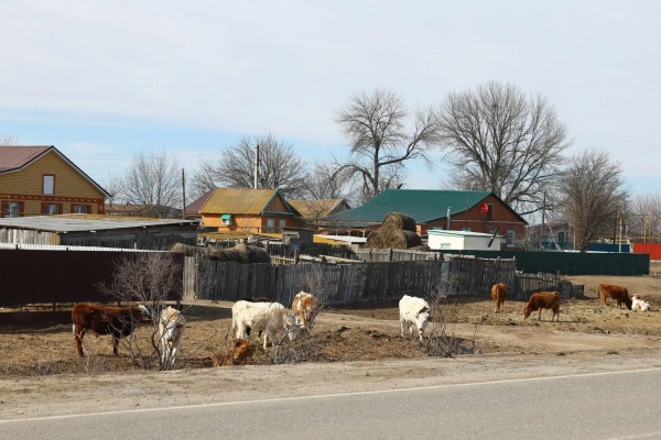 (2026)|Фото: astrobl.ru