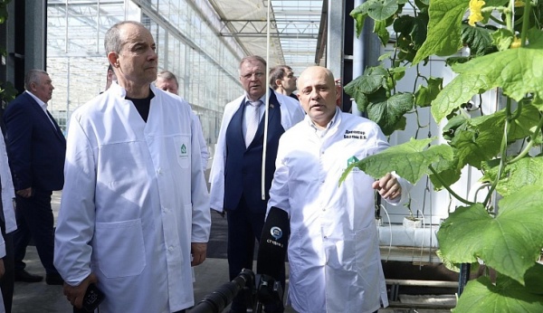 (2026)|Фото: kubzsk.ru