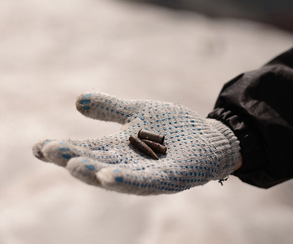 Пули и гильза(2026)|Фото из архива поисковых отрядов