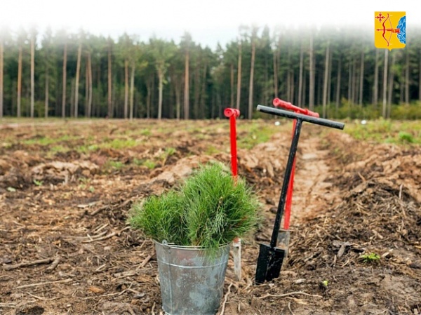 (2026)|Фото: kirovreg.ru