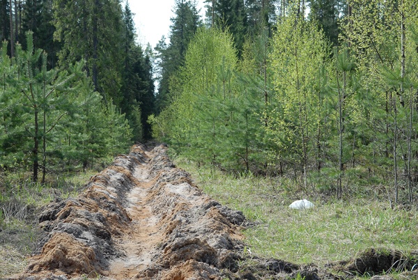 (2026)|Фото: kirovreg.ru