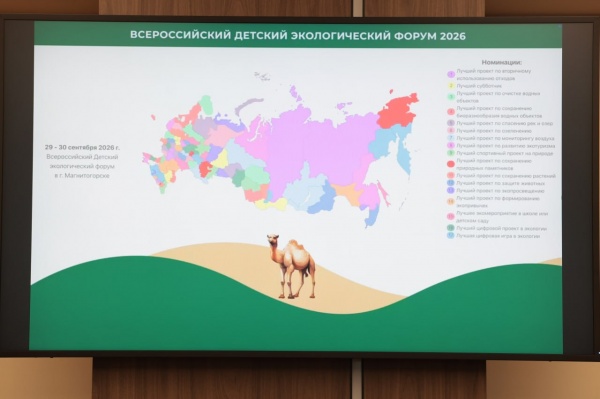 (2026)|Фото: t.me/poolN74