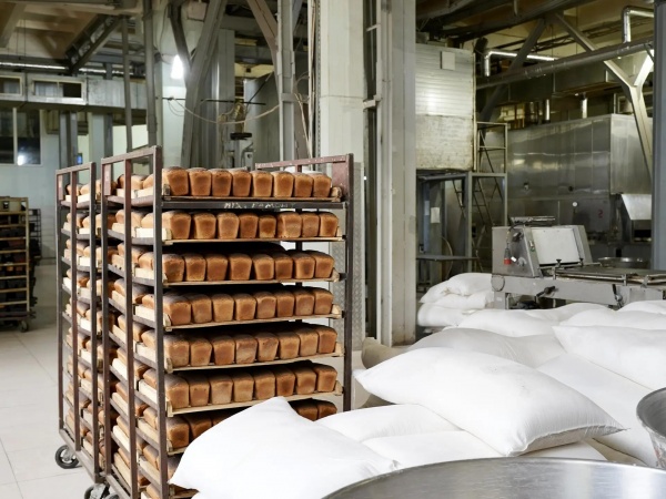 (2026)|Фото: astrobl.ru