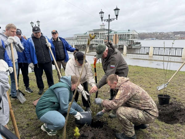 (2026)|Фото: adm44.ru