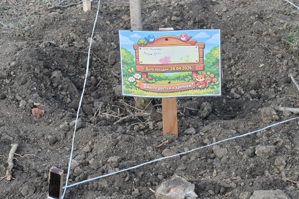 (2026)|Фото: khv27.ru